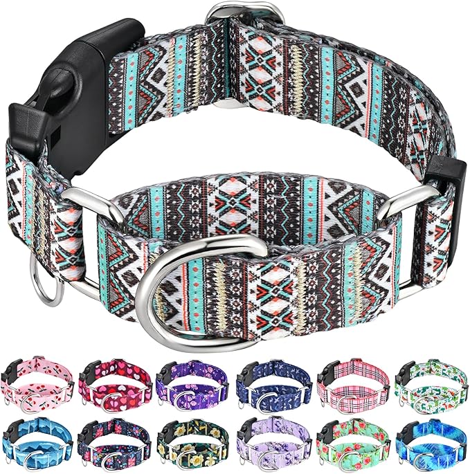 Martingale Dog Collar with Buckle Tribal Design Adjustable Escape Proof Pet Collars (Aztec, Medium)