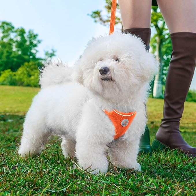Hipubby Dog Harness and Leash Set, No Pull Soft Mesh Puppy Harness for Small Medium Dogs, Cats - Step in Reflective Breathable Lightweight Vest Harness for Walking, Training - Orange, S