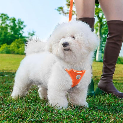 Hipubby Dog Harness and Leash Set, No Pull Soft Mesh Puppy Harness for Small Medium Dogs, Cats - Step in Reflective Breathable Lightweight Vest Harness for Walking, Training - Orange, XS