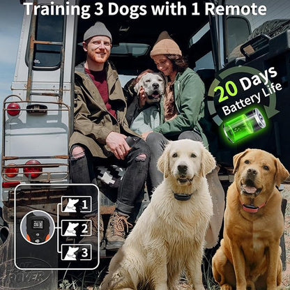 PaiPaitek Dog Vibration Collar with Controller for 2 Dogs No Shock, 9 Types of Beeps and Vibrations, 3300ft Range & Upgraded Waterproof Training Collar for Dogs 5-120lbs - No Prongs