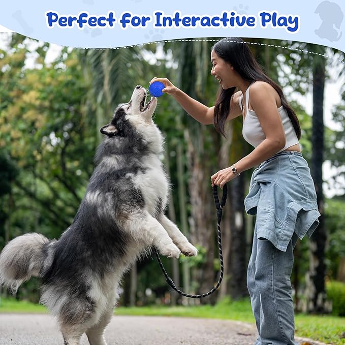 Indestructible Dog Toys for Aggressive Chewers, Squeaky Balls for Large Dogs, Interactive Squeaky Dog Balls for Aggressive Chewers, Outdoor Tough Chew Toys for Dogs to Relieves Anxiety