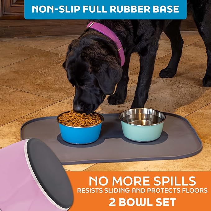 Master Pet Supply Stainless Steel Dog Bowls Set of 2 (32 Oz Each) with Non-Slip Rubber Base - Hyper Pink - Basic Dog Food Bowl Water & Food Bowls for Small Medium Large Dogs & Cats, Metal Dish