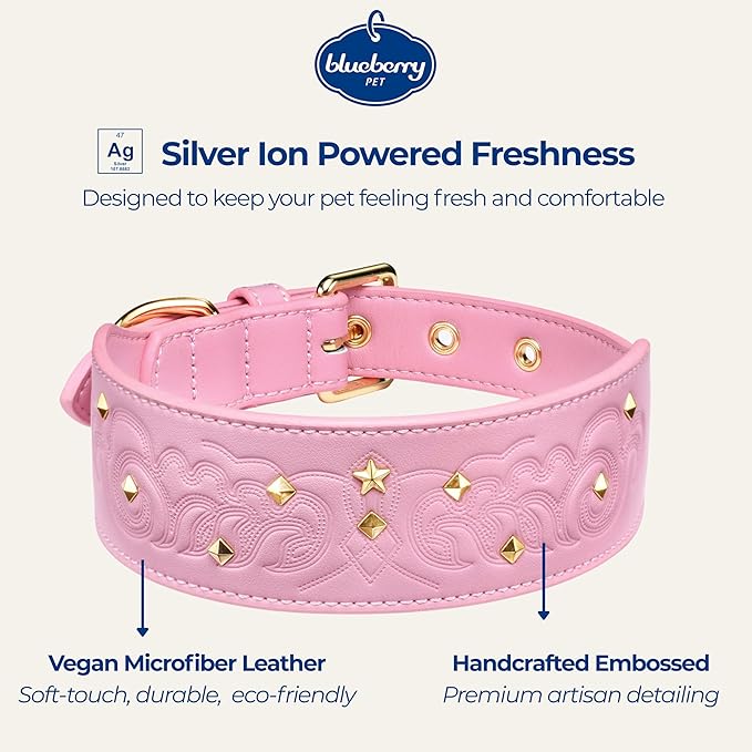 Blueberry Pet Premium Embossed Pink Glam Silver-Powered Freshness Microfiber Leather Dog Collar with Gold Studs
