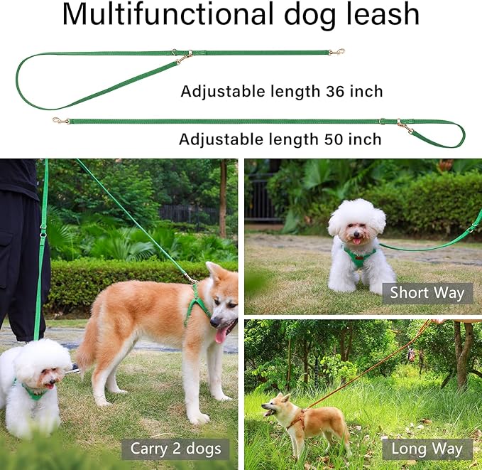 CHEDE No Pull Puppy Harness and Multifunction Dog Leash Set- 8 Colors Soft Adjustable No Choke Escape Proof Cute,Lightweight Pet Vest Harness for Small and Medium Dog (S, Green)
