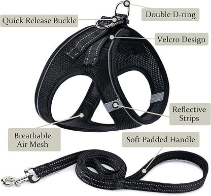 BOOMIBOO Dog Harness with Leash Set, No Pull Adjustable Reflective Step-in Puppy Pet Vest Harnesses for Small Medium Large Dogs and Cats,Black S