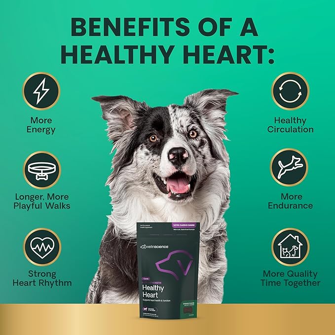 VetriScience Extra Strength Healthy Heart Chews, Vetri Cardio Supplement for Dogs, Cardio Support Supplement with Taurine, Carnitine, CoQ10, and Hawthorn, Chicken, 60 Count