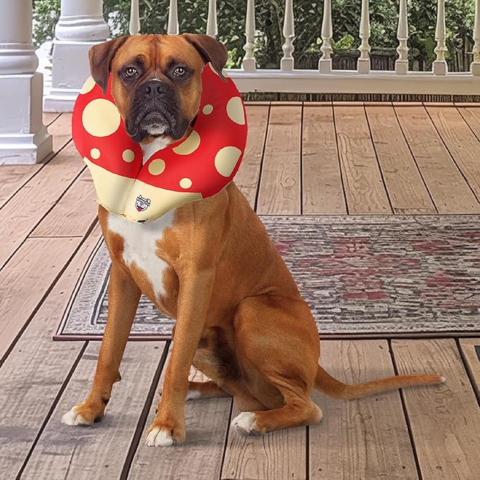 Mushroom Inflatable Dog Recovery Collar, Comfortable Cone Replacement for Pet Surgery, Protective Collars to Prevent Licking & Biting, Size Large