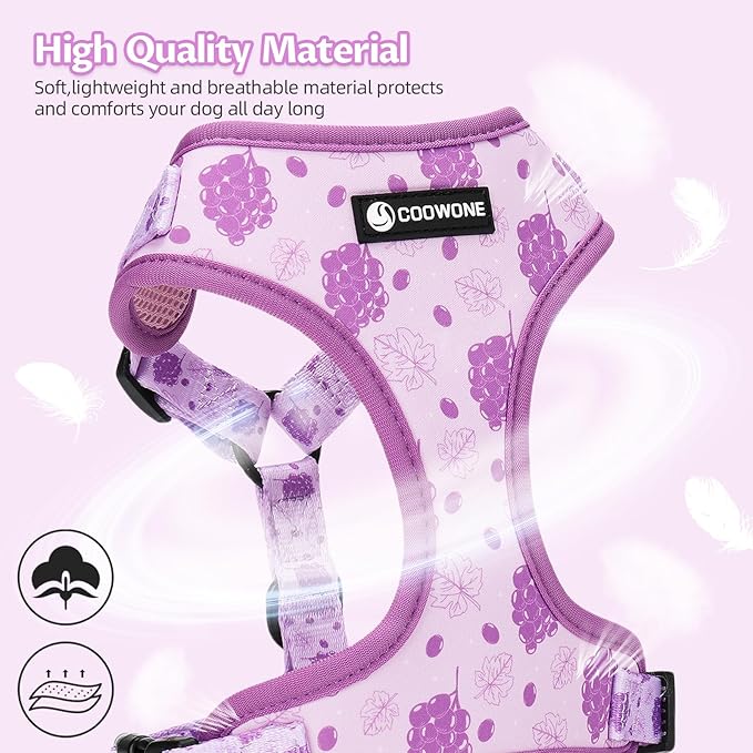 Dog Harness and Leash Set, Adjustable Dog Harness, Dog Leash, No Pull No Choke Puppy Harnesses for Walking Training for Small Medium Pet (Wines, XS(Chest 9.9-13.5", Neck 7.8-10.2"))