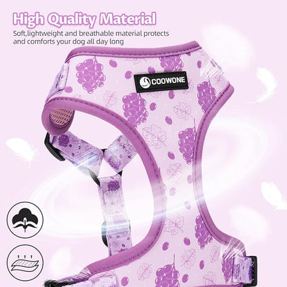 Dog Harness and Leash Set, Adjustable Dog Harness, Dog Leash, No Pull No Choke Puppy Harnesses for Walking Training for Small Medium Pet (Wines, XS(Chest 9.9-13.5", Neck 7.8-10.2"))