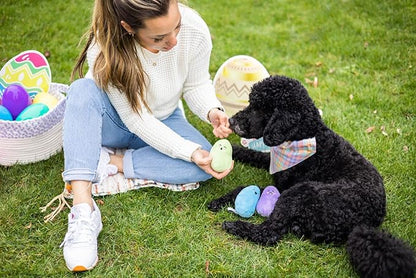 Pearhead Jelly Beans Plush Dog Toys, Easter Dog Toy Set with Squeakers, Pastel Interactive Puppy & Dog Play Toys, Pet Easter Basket Gift, Set of 3
