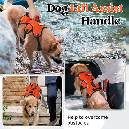 rabbitgoo Escape Proof Dog Harness, Soft Padded Full Body Pet Harness, Reflective Adjustable No Pull Vest with Lift Handle and Leash Clip for Large Dogs Walking Hiking Training, M, Orange
