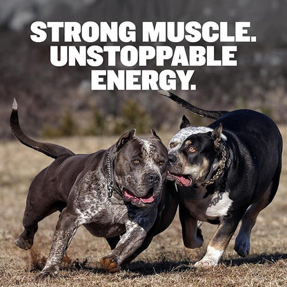 Bully Max Dry Dog Food for Adults & Puppies - High Protein & Fat for Muscle & Weight Gain - High Performance Dog Food Supplements - Small & Large Breed Dogs (530 Calories Per Cup), Beef, 40lb Bag