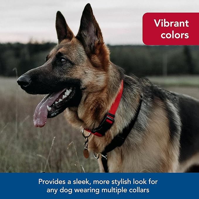 Coastal Pet SecureAway Collar Protector for Flea Collars - Adjustable pet Accessory - Protective Flea Collar for Dogs & Puppy - Red, 5/8" x 10-14"