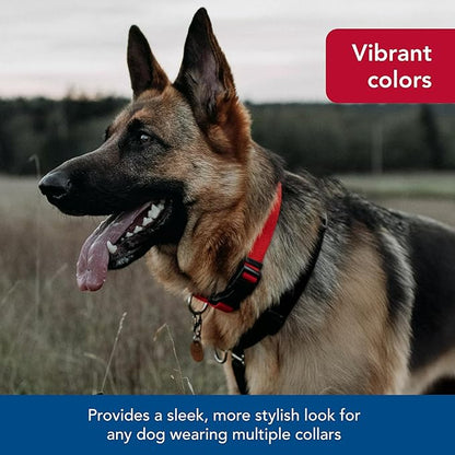 Coastal Pet SecureAway Collar Protector for Flea Collars - Adjustable pet Accessory - Protective Flea Collar for Dogs & Puppy - Red, 5/8" x 10-14"