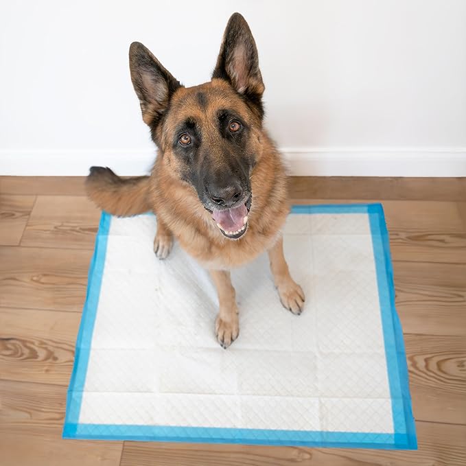 Four Paws Wee-Wee Superior Performance Unscented Extra-Large Pee Pads for Dogs & Puppies, Quilted Leak-Proof Dog Housebreaking Potty Training Floor Protection, 28" x 34", 21 Count