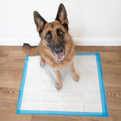 Four Paws Wee-Wee Superior Performance Unscented Extra-Large Pee Pads for Dogs & Puppies, Quilted Leak-Proof Dog Housebreaking Potty Training Floor Protection, 28" x 34", 21 Count