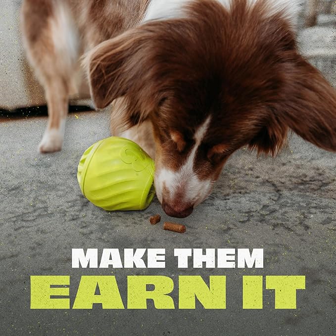Benebone 3-Pack Ball/Bone Medium/Pawbler Rubber Pet Toys