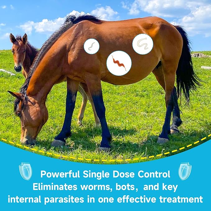 Ivermectin Horse Dewormer Paste, Apple Flavor, 0.21 oz, 6-Pack – Effective Worm Treatment for Horses