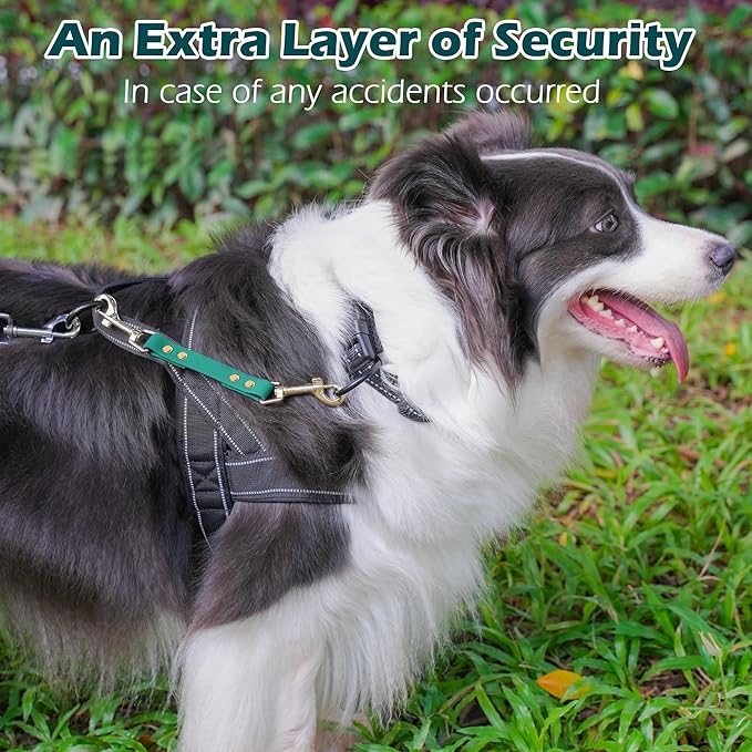 PetBonus Dog Collar Safety Clip, Waterproof Backup Safety Strap for Dog Harness to Prong Collar, Odor Proof Double Ended Clasp Leash Connector for Training Walking (Green)