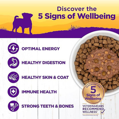 Wellness Petite Entrees Casserole Small Breed Adult Wet Dog Food, Grain Free, Natural, Roasted Lamb, Peas, and White Sweet Potatoes, 3 oz, Pack of 12 Cups