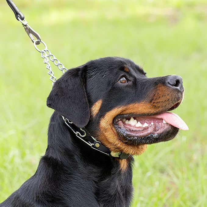 Herm Sprenger Chrome Plated Steel Dog Collar with Quick Release ClicLock Buckle O-Ring Biothane Insert Training Collar Made in Germany (Black, 22in x 3.0mm(Neck Size up to 18-19in))