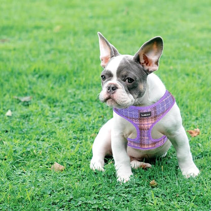SCENEREAL No Pull Dog Harness with Leash Set for Small Dogs - Breathable Soft Mesh Vest, Plaid Design for Daily Walking Training, Fits Chihuahua Bulldog, Purple Size S
