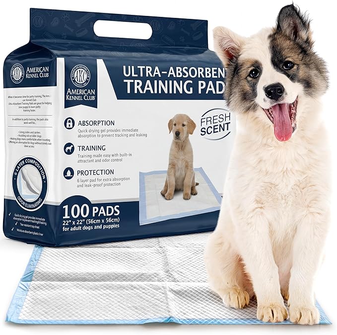 American Kennel Club Scented Puppy Training Pads with Ultra Absorbent Quick Dry Gel – 22 x 22 Pee Pads for Dogs - Fresh Scented - Pack of 100