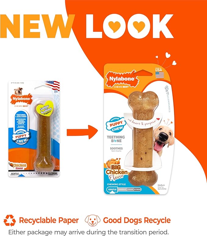 Nylabone Puppy Chew Teething Bone, Toys for Teething Puppies, Chicken Flavor, Medium, Up to 35 Ibs, 1 Count