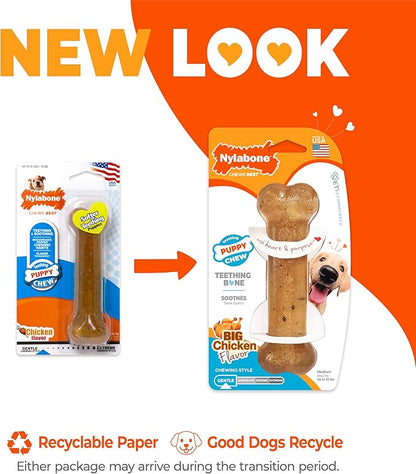 Nylabone Puppy Chew Teething Bone, Toys for Teething Puppies, Chicken Flavor, Medium, Up to 35 Ibs, 1 Count
