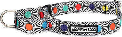 Lucky Love Dog, Adjustable Fun Style Martingale Collar for Dogs, Comfy & Bright Color, Premium No Slip Dog Collar - (Small, SOCO Mart)