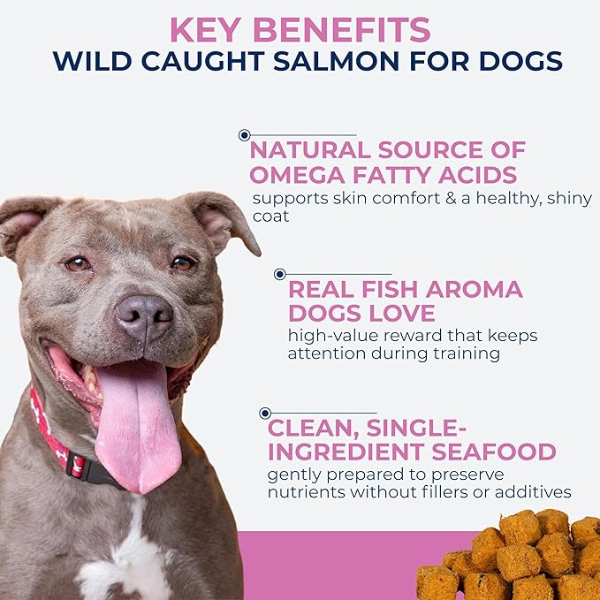 Momentum Carnivore Nutrition Freeze-Dried Wild-Caught Salmon Dog Treats & Cat Treats – Single-Ingredient, High-Protein, Grain-Free, Natural Source of Omega-3s – Made in USA – 3 oz Bag