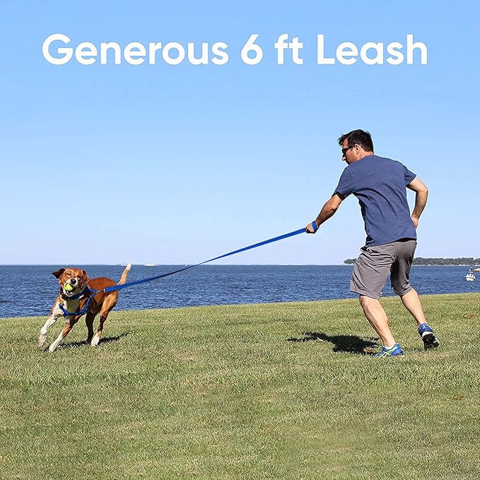 Pawtitas Blue Dog Leash 6 ft M/L Reflective Durable Lightweight Recycled Lead for Medium or Large Dogs and Puppies