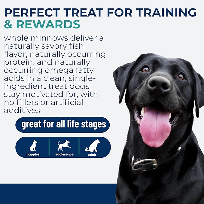 Momentum Carnivore Nutrition Freeze-Dried Minnows Dog Treats & Cat Treats – Single-Ingredient, High-Protein, Grain-Free, Natural Whole-Fish Treat – Made in USA – 2 oz Bag