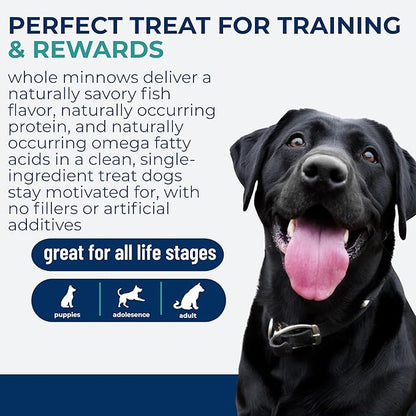 Momentum Carnivore Nutrition Freeze-Dried Minnows Dog Treats & Cat Treats – Single-Ingredient, High-Protein, Grain-Free, Natural Whole-Fish Treat – Made in USA – 2 oz Bag