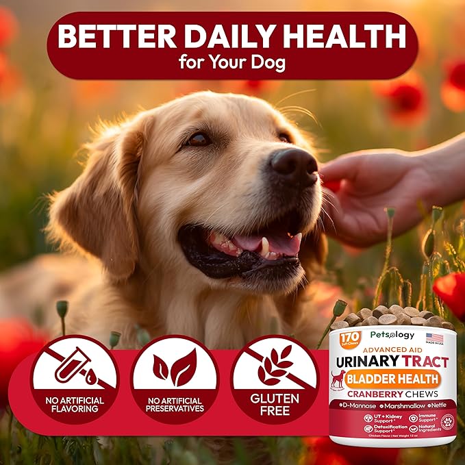 Dog UTI Treatment - 170 Cranberry Chews for Dogs - Urinary Tract Infection, Bladder & Kidney Health Multivitamin - Cranberry Supplement for Dogs with D-Mannose - Dog Vitamins and Supplements