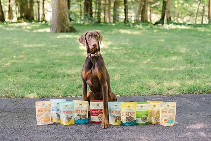 Freeze Dried Dog Treats – Bison Liver, Single Ingredient, All-Natural, USA Sourced, Human-Grade, Grain-Free High-Protein Training Treats, 2.5 oz