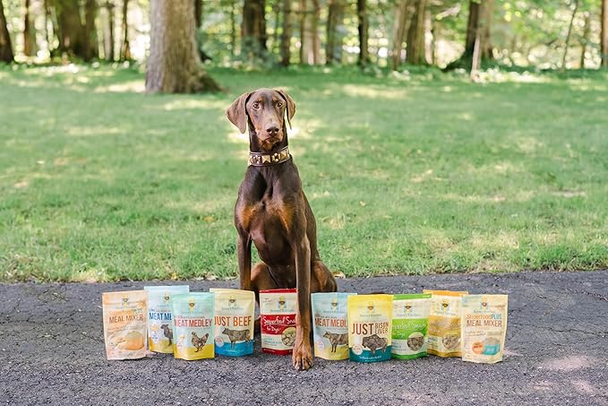 Freeze Dried Dog & Cat Treats – Beef, Single Ingredient, All-Natural, USA Sourced, Human-Grade, Grain-Free High-Protein Training Treats, 3 oz