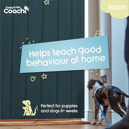 Coachi Puppy & Mini Training Line 2.5m - Toilet Training, Jumping Up, Running Off, Place Avoidance, Chewing, House Manners, Lightweight Indoor House Lead. Suitable for Puppies & Newly Acquired Dogs