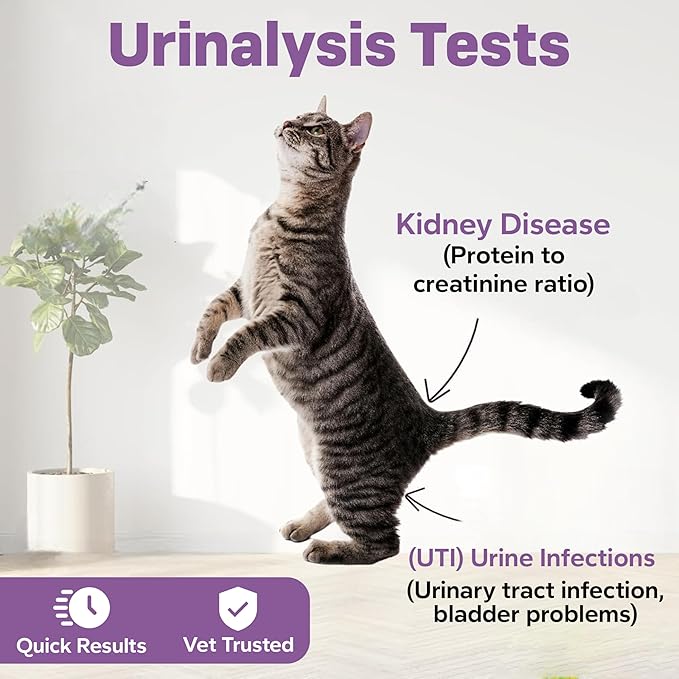 One Step Pet Urine Testing Strips, 5 x 10 Parameter Urinalysis Test Strips, Urine pH Test Strips for Dogs, Cats, Accurate Testing for UTI, Bladder & More, Pet Glucose Monitoring Kit