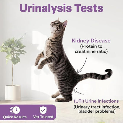 One Step Pet Urine Testing Strips, 5 x 10 Parameter Urinalysis Test Strips, Urine pH Test Strips for Dogs, Cats, Accurate Testing for UTI, Bladder & More, Pet Glucose Monitoring Kit