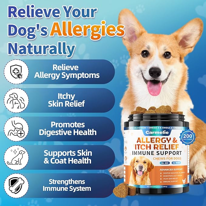Carmelie Dog Allergy Chews 200 Chews - Dog Itching Skin Relief & Yeast - Itchy Skin and Ears & Anti Licking Paw Relief, Seasonal Allergies, Probiotics Gut Digestive, Skin & Coat Immunity - Chicken