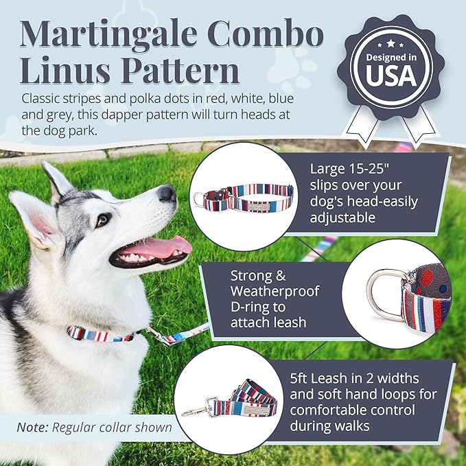 Lucky Love Dog Martingale Dog Collar & Leash - Adjustable, No-Slip, Durable, Comfortable, Soft Webbing, & Stylish Patterned Collar & Leash Set for Male and Female Dogs - Linus Combo, Large