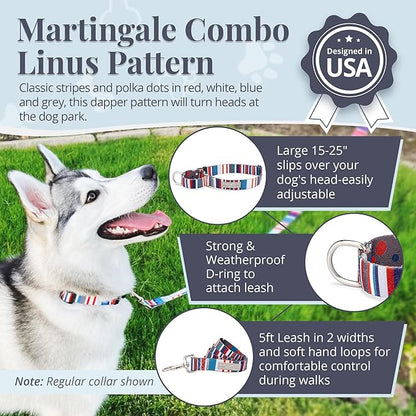 Lucky Love Dog Martingale Dog Collar & Leash - Adjustable, No-Slip, Durable, Comfortable, Soft Webbing, & Stylish Patterned Collar & Leash Set for Male and Female Dogs - Linus Combo, Large