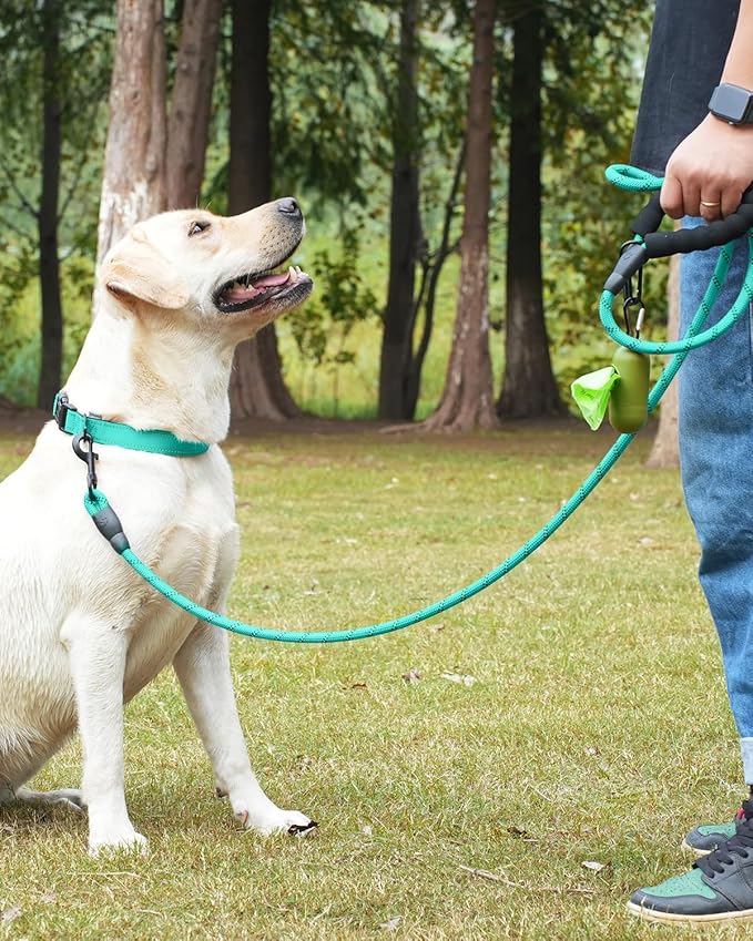 Dynmeow Reflective Dog Collar and Leash Set, 6FT Strong Climbing Rope Leash with Padded Handle, Adjustable Pet Collar with Soft Neoprene Padding for Medium Large Dogs, Teal, M