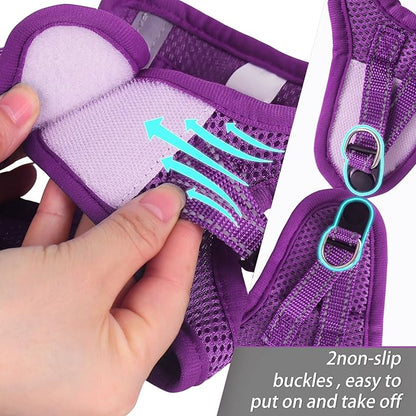 Dog Harness for Small Dogs and Leash Set, Honeycomb Grid, Reflective Lightweight Harness & Anti-Twist Pet Lead (Multi Color, Size: XS-S-M) (XS, Purple)