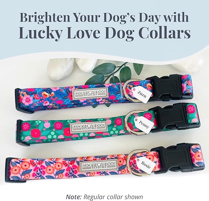 Lucky Love Dog Martingale Dog Collar & Leash - Adjustable, No-Slip, Durable, Comfortable, Soft Webbing, & Stylish Patterned Collar & Leash Set for Male and Female Dogs - Rosie Combo, Medium
