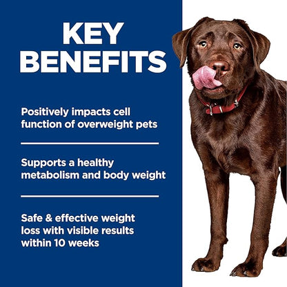 Hill's Science Diet Adult Perfect Weight Large Breed Dry Dog Food, Chicken & Brown Rice, 25 lb. Bag