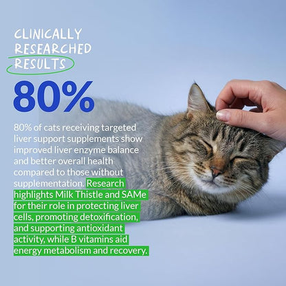 Milk Thistle for Cats - Liver and Kidney Support - Hepatic Support with EPA & DHA - Detox - Liver Supplement with Choline and L-Arginine (Powder for Cats)