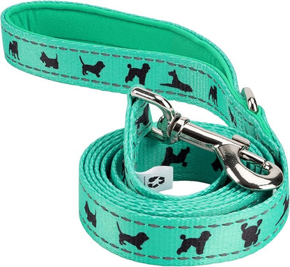 EcoBark Dog Leash - Soft & Reflective Comfort Leashes with Padded Handle - Strong Durable Heavy Duty - Training and Pulling for Small, Medium or Large Dogs (Turquoise)