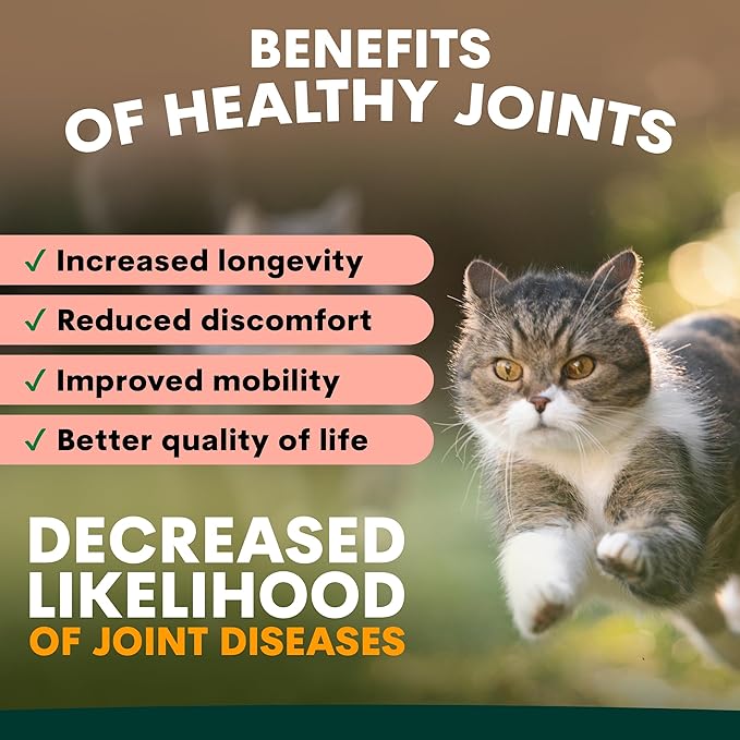 Petz Park Hip + Joint Cat Supplement 60 Scoops, Cat Joint Supplement with Glucosamine, Chondroitin and MSM, Cat Food Topper for Wet and Dry Food, Mobility and Joint Support, Made in Australia